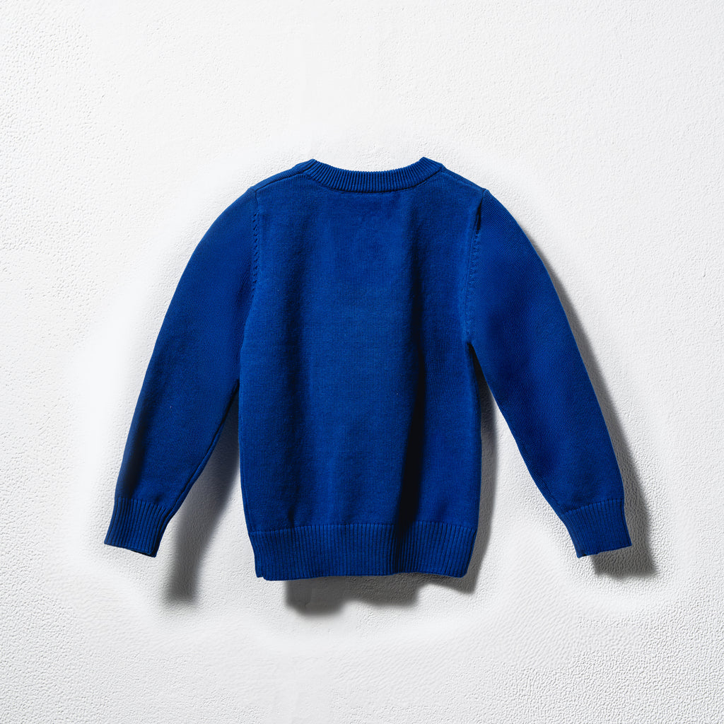 Blue_Sweater_back