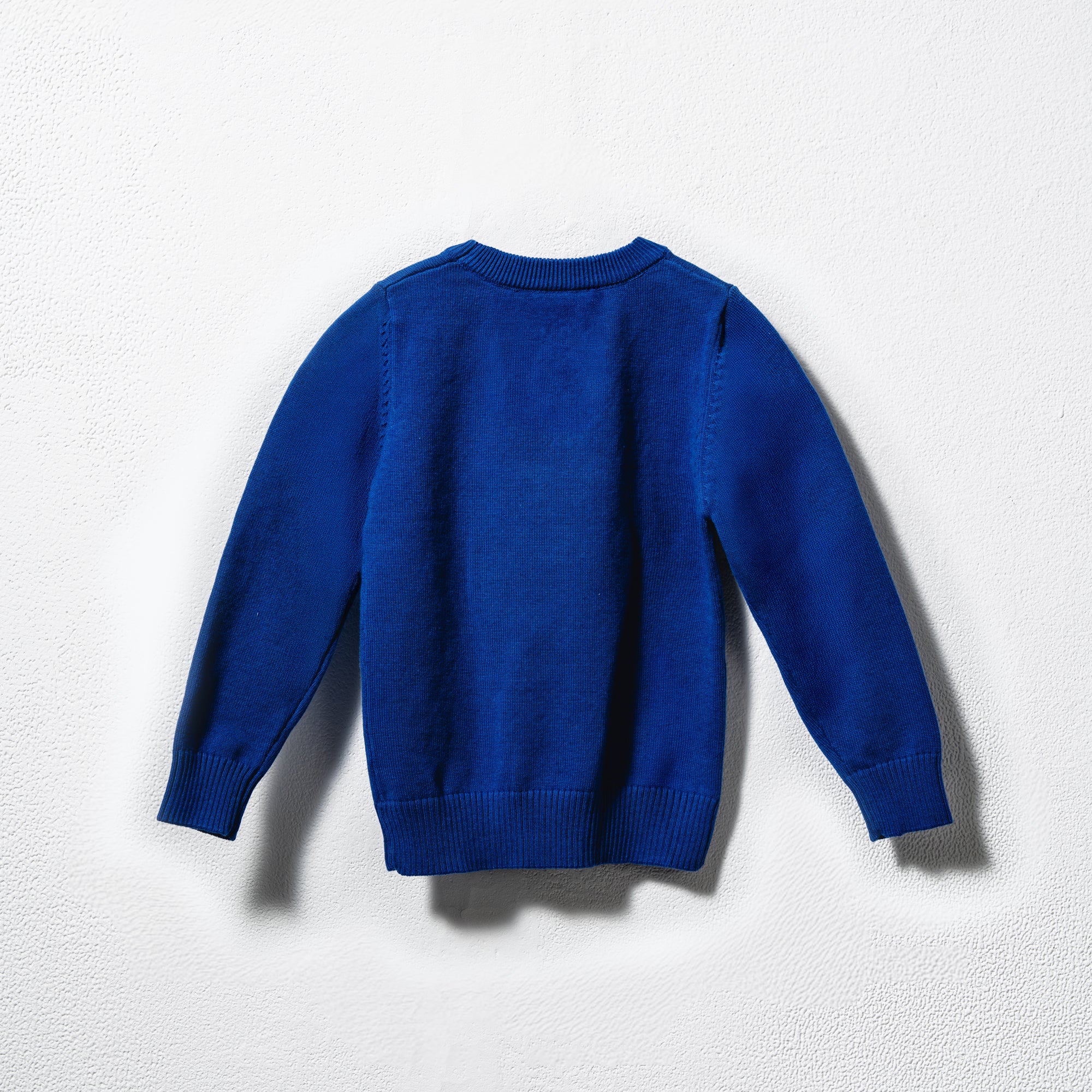 Blue_Sweater_back